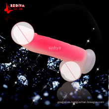 Sexual Silicone Dildo Penis Sm juguete sexual para Lesbianas (DYAST397)